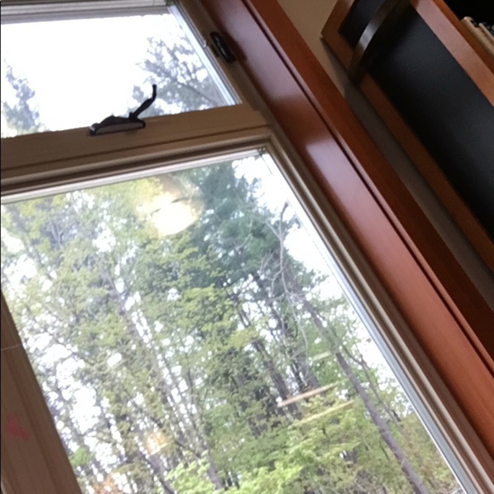 Meet your Posher, Elsie